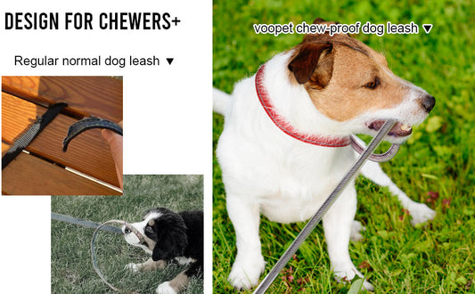 PU Chew‑Proof Dog Leash Extension